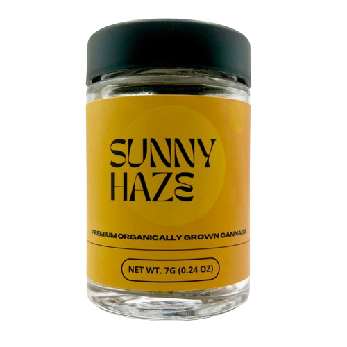 Sunny Haze - Flower - Gorilla Piss - PP7g