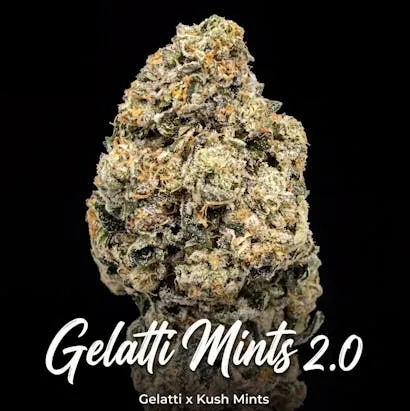 Gelatti Mints 2.0 hybrid cannabis flower by Alternative Solutions