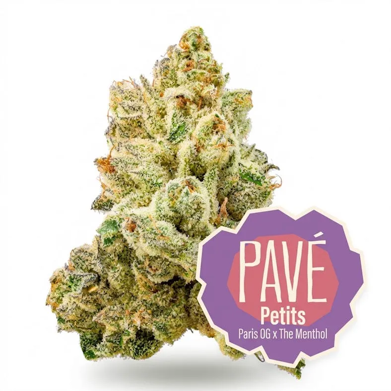 Pavé Petitos featured cannabis flower on the homepage of the best dispensary in washington dc.